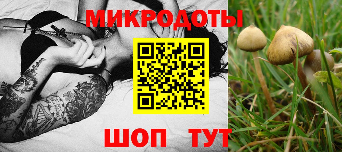 купить наркоту  Вход с VPN  Сарапул  Псилоцибиновые грибы MAGIC MUSHROOMS 