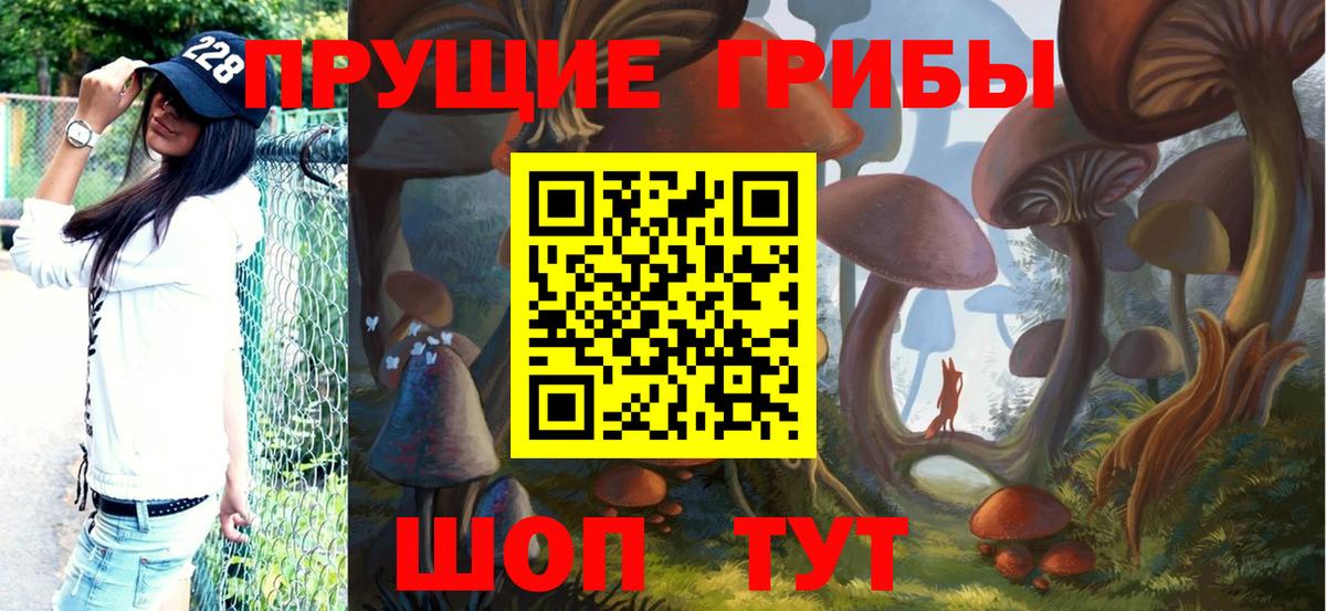 Псилоцибиновые грибы Psilocybe Сарапул